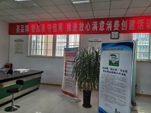 巢湖12家单位入选合肥市级示范 金喜猫食品厂携旅客票务代理上榜